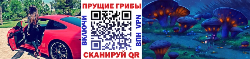 Галлюциногенные грибы GOLDEN TEACHER  Купить  Енисейск 